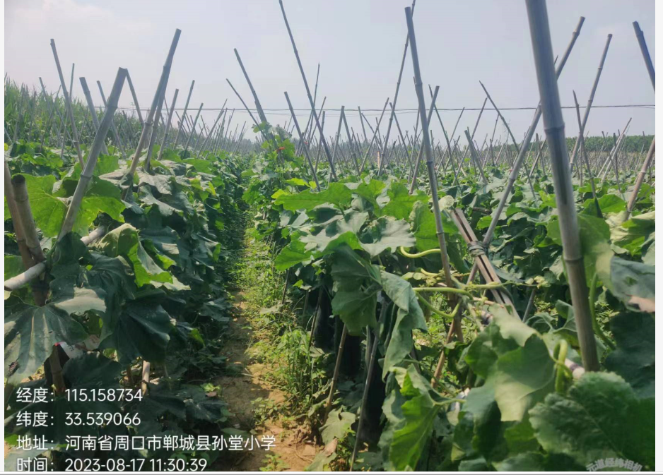 微信图片_20230907150133.png