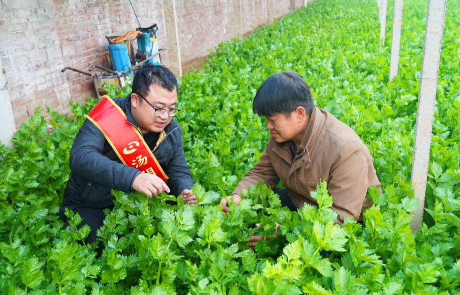 微信截图_20240328170534.png