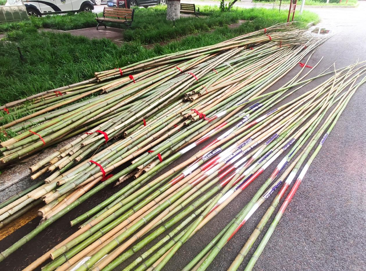 202407/02/0727324_29.png 图片2.png