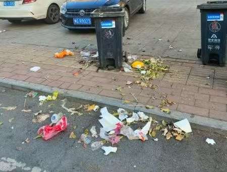 202412/12/0212553_77.png 图片3.png