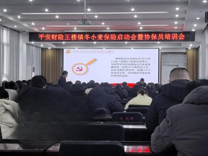 202501/06/0819029_17.png 图片2.png