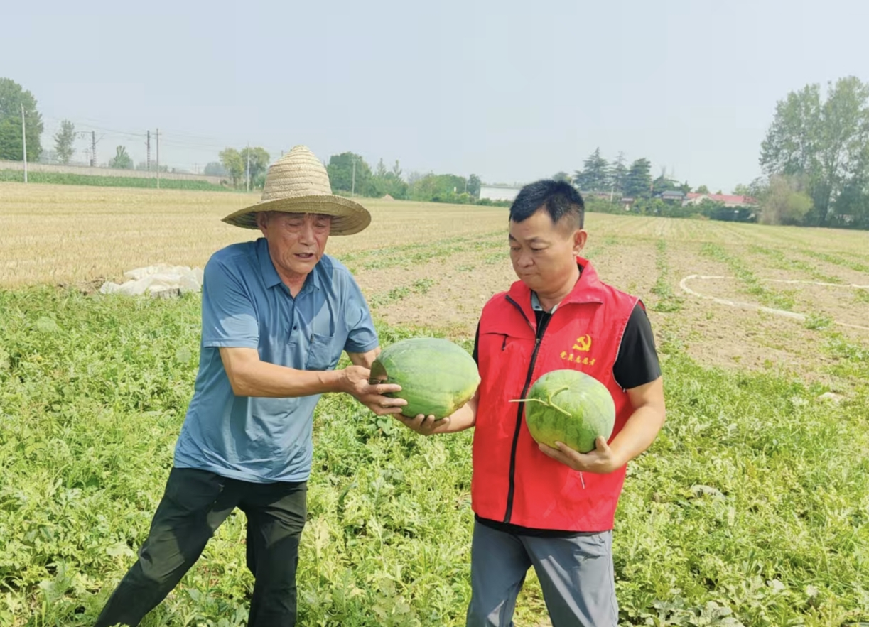 202506/16/0714381_72.png 图片1.png