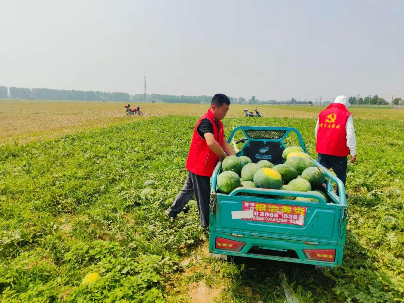 202506/16/0714521_33.png 图片2.png