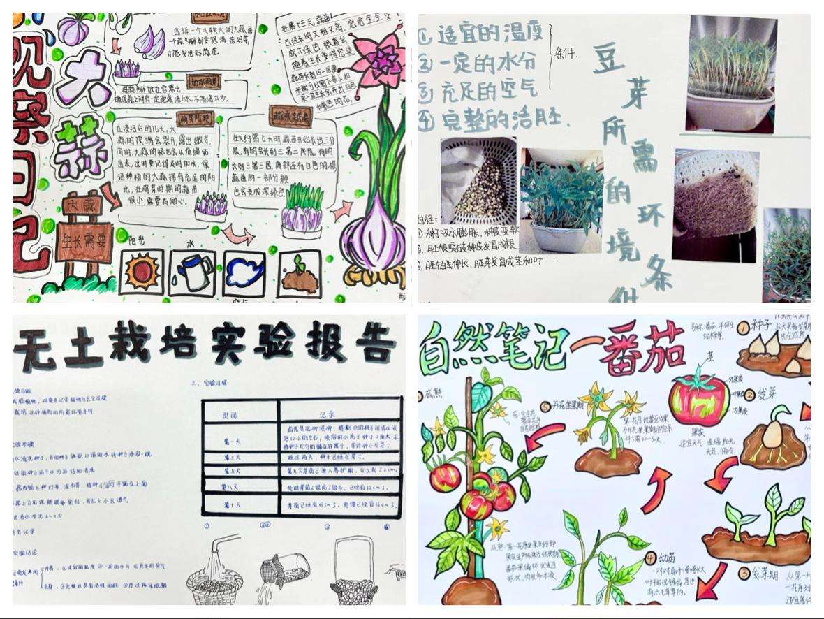 84ccc4d32f7a2abe324e457c4e746ba.jpg