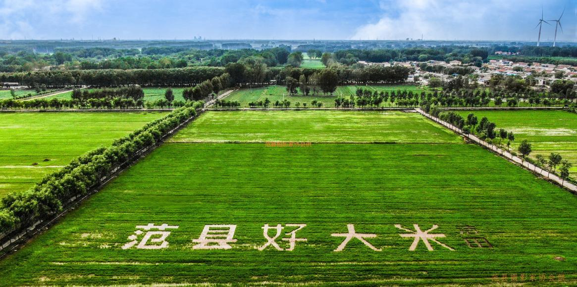 202512/03/0232270_35.png 123图片2.png