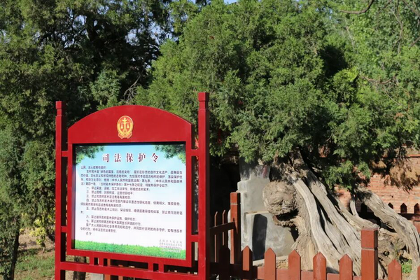 调整大小 图片6.png