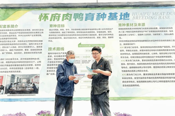 调整大小 图片1.png